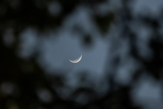 New moon in night sky symbolizing new beginnings, introspection and spiritual energy