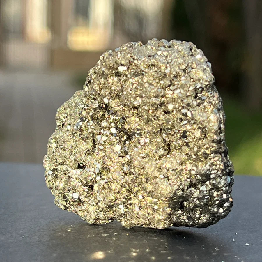 Pirita abundenta
